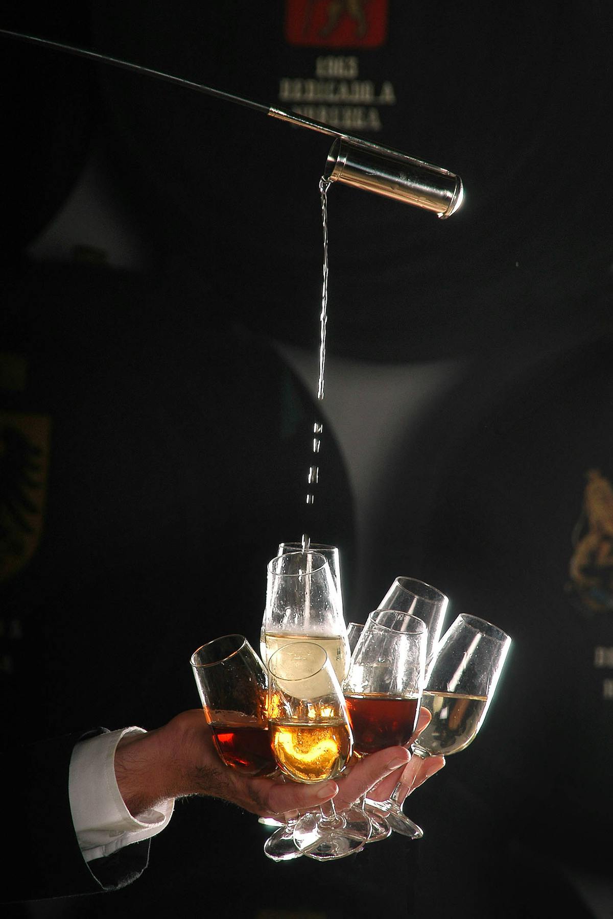 a glass of wine