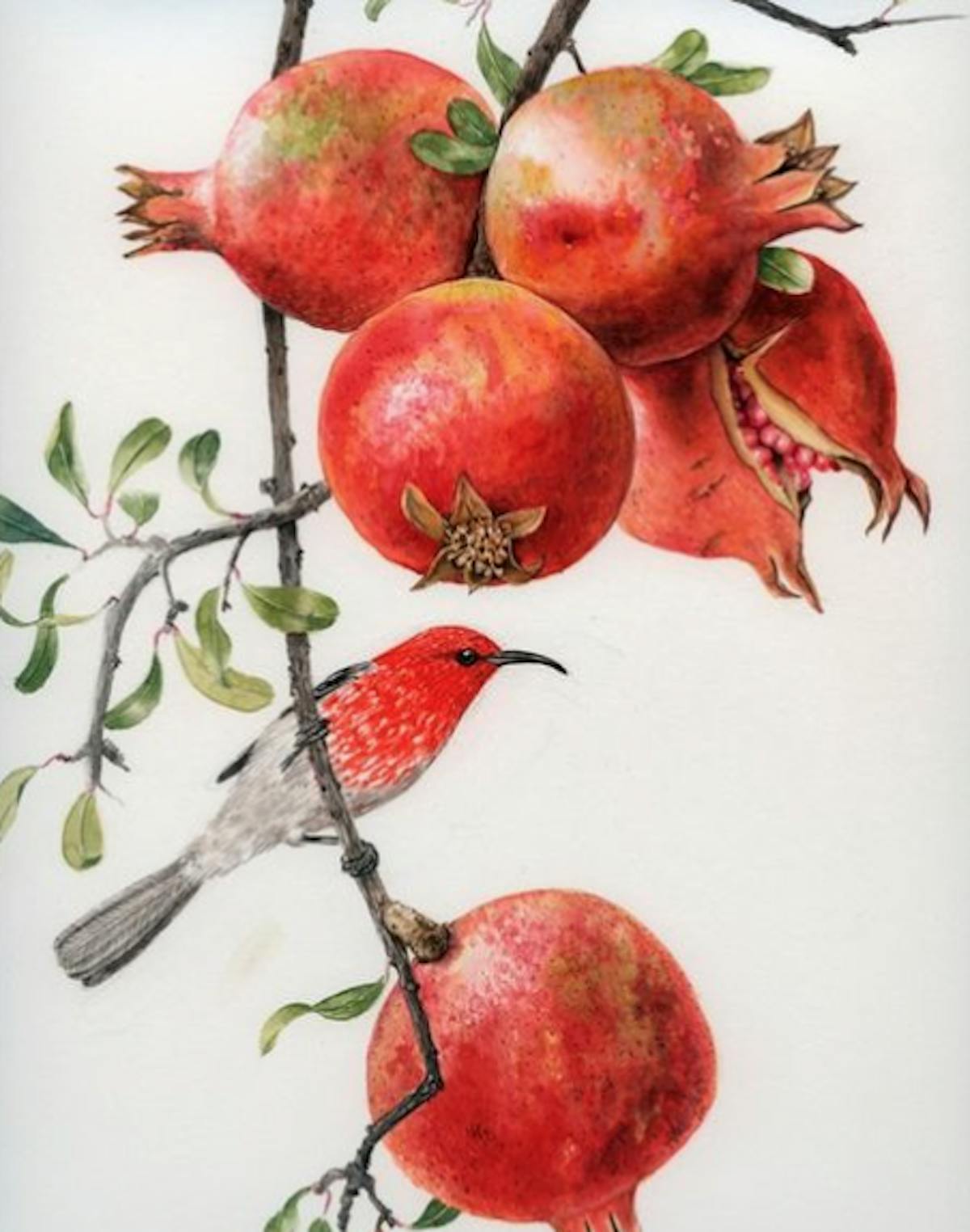 an apple hanging from a branch