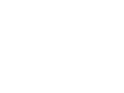 Salt logo