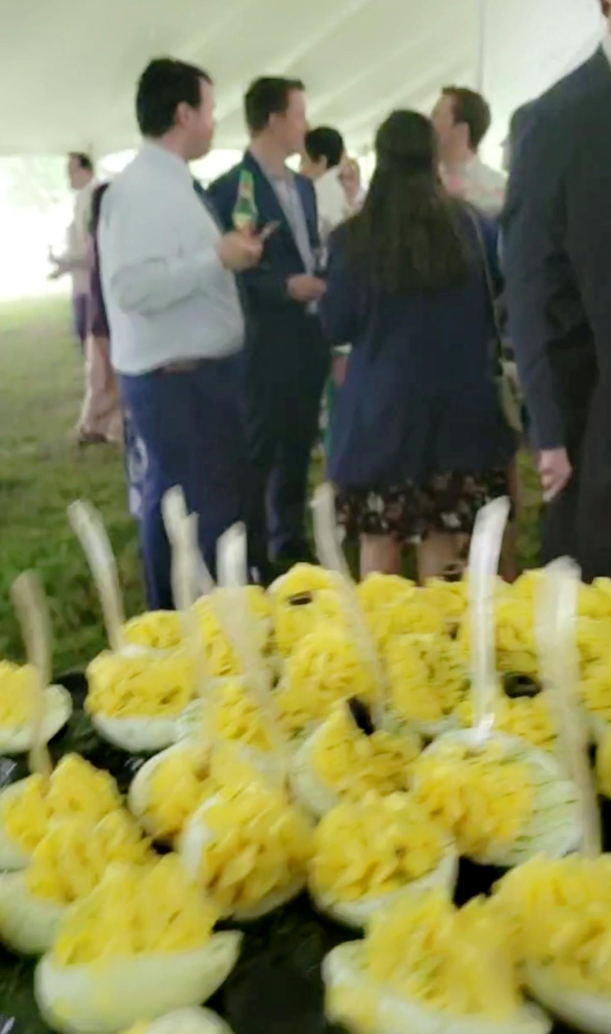 Butler Service at Cocktail before wedding reception