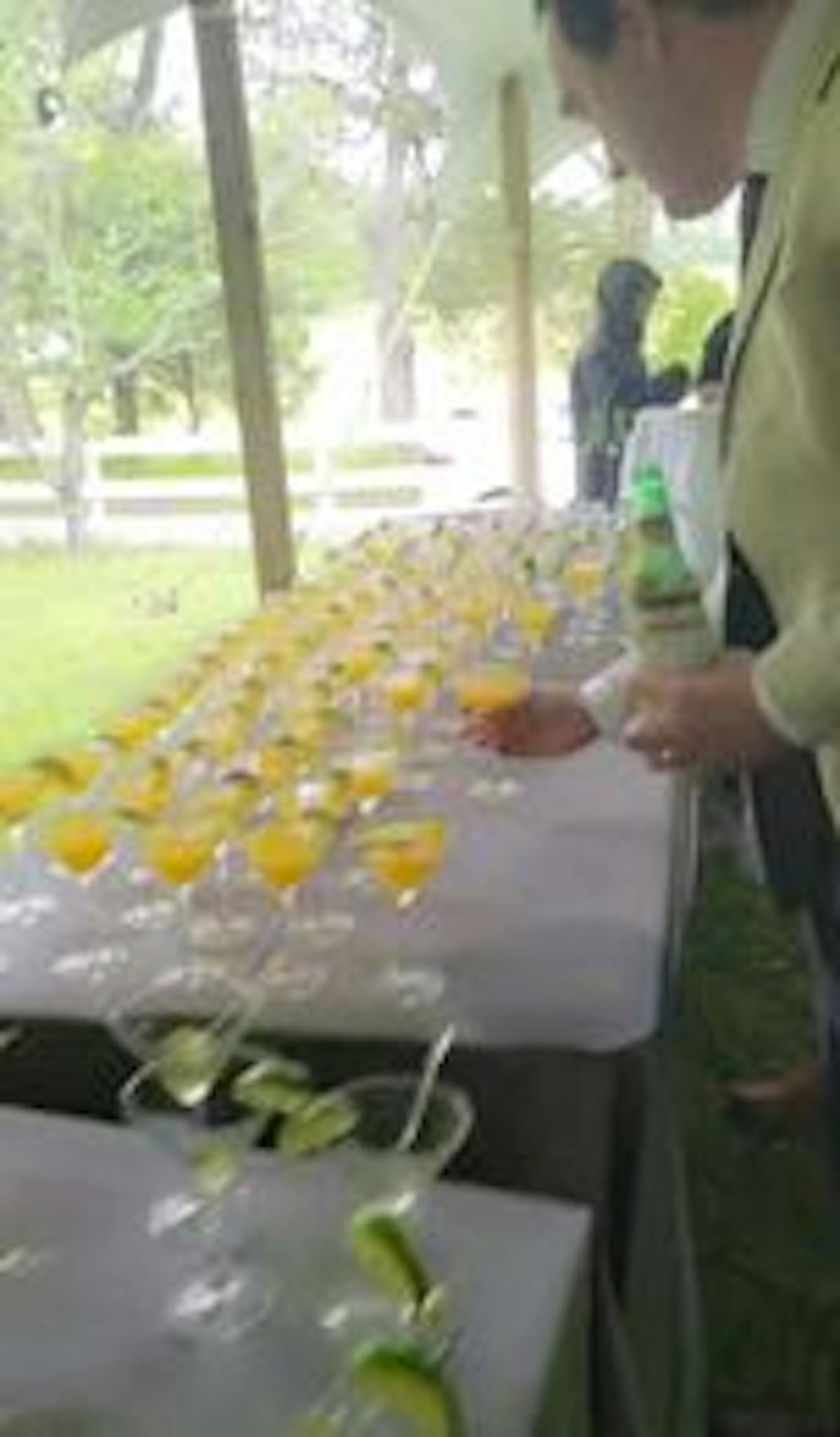 Cocktail hour & Bartenders