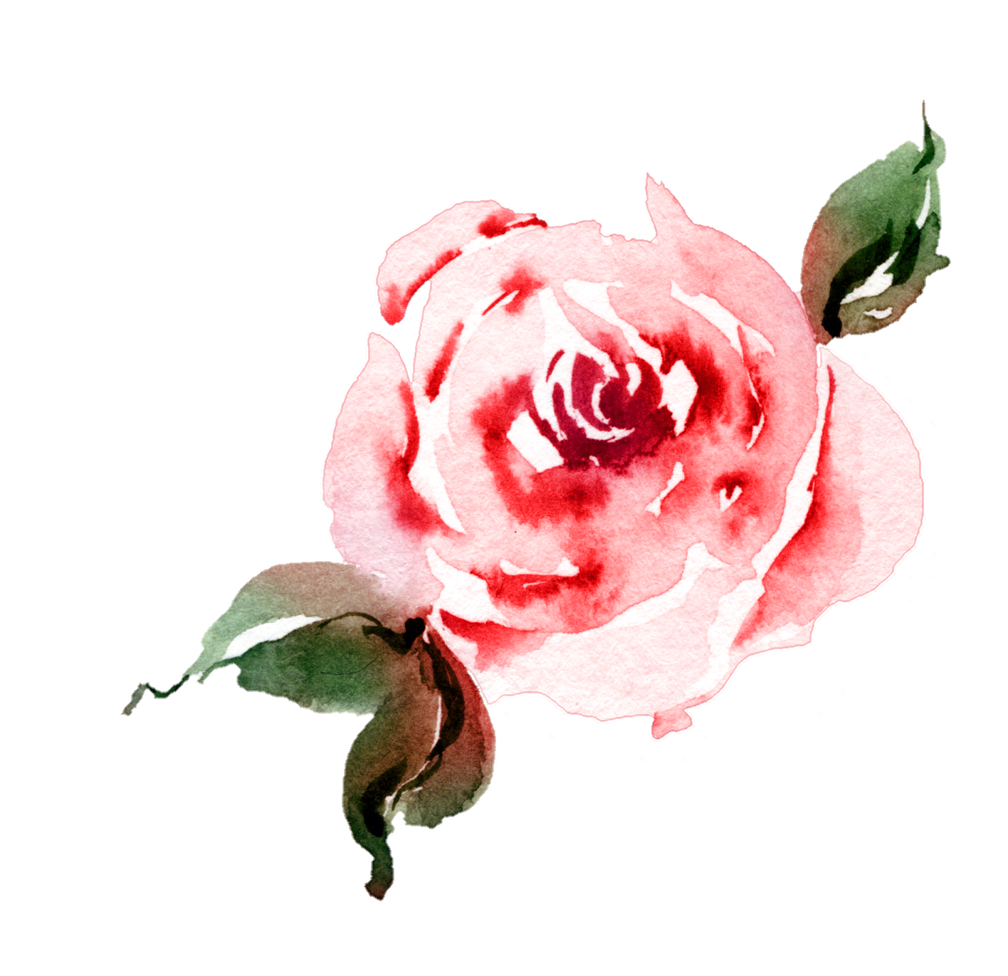 a close up of a flower