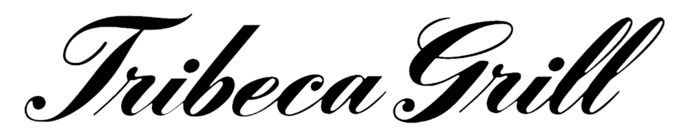 a close up of a logo