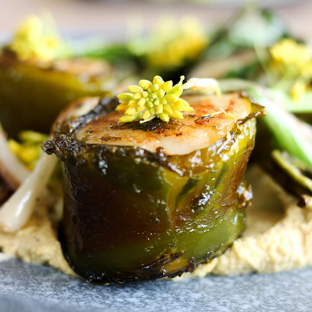 a close up of food