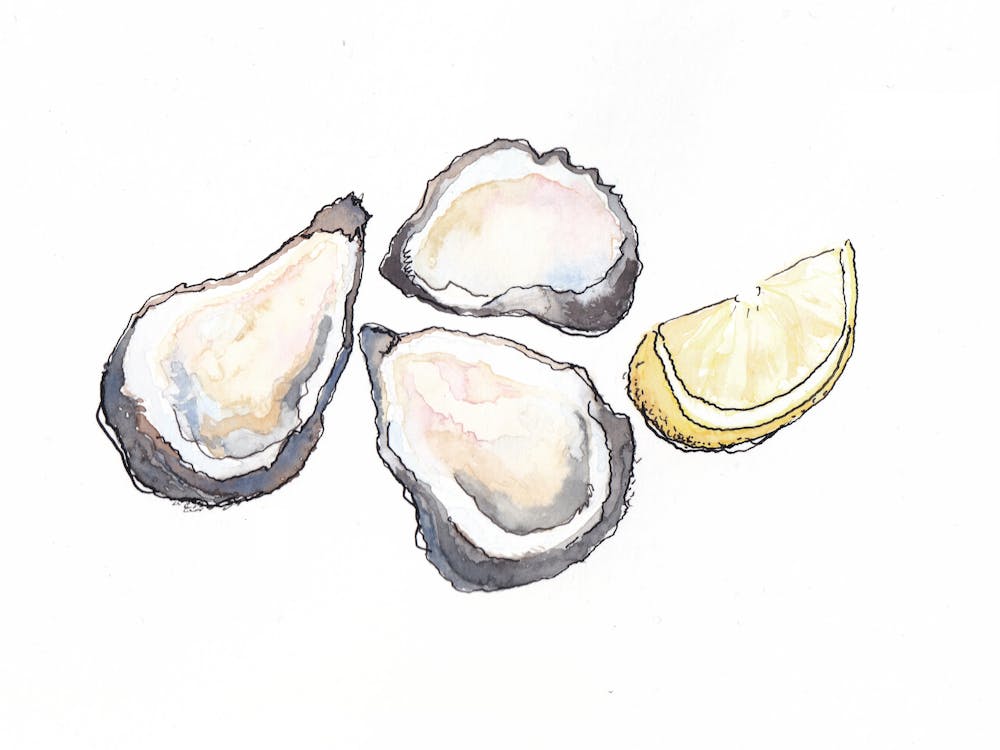 a close up of an animal