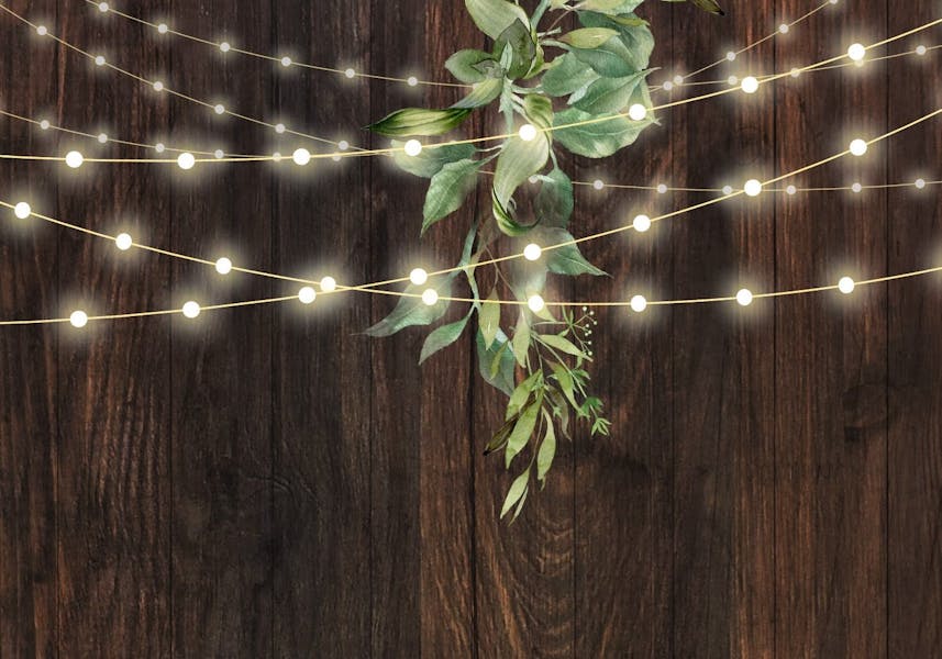 Private Events Steins Beer Garden in Mountain View, CA