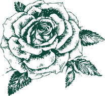 Background pattern

Description automatically generated