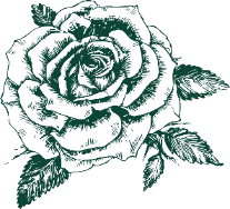 Background pattern
Description automatically generated