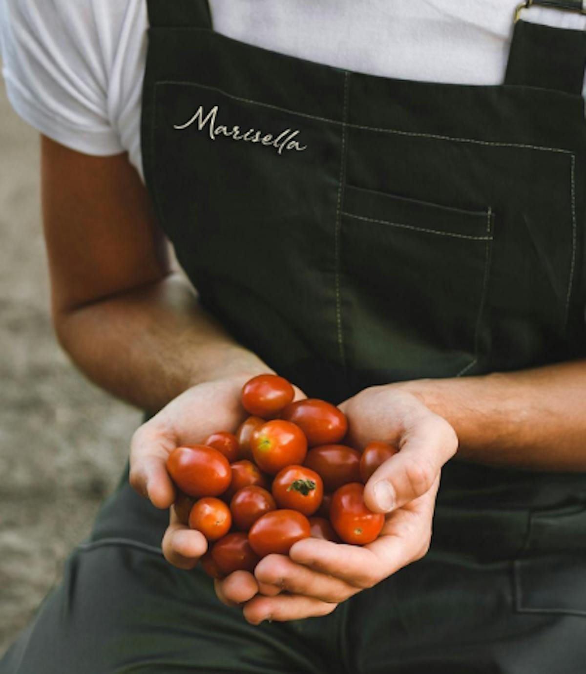 a hand holding an apple