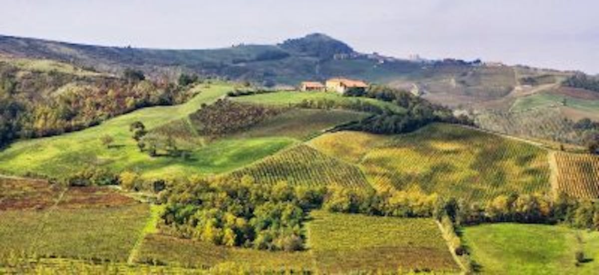a field with a mountain in the background