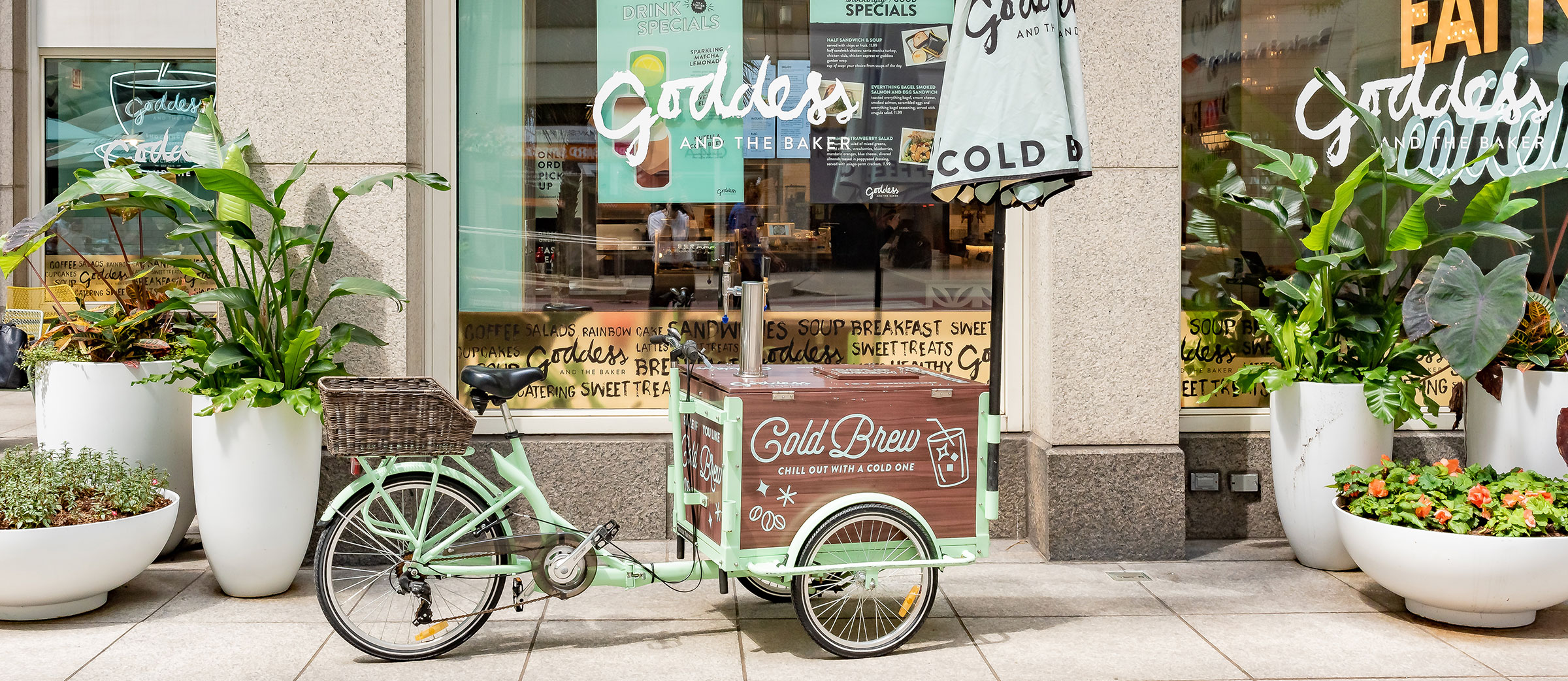 bike cart