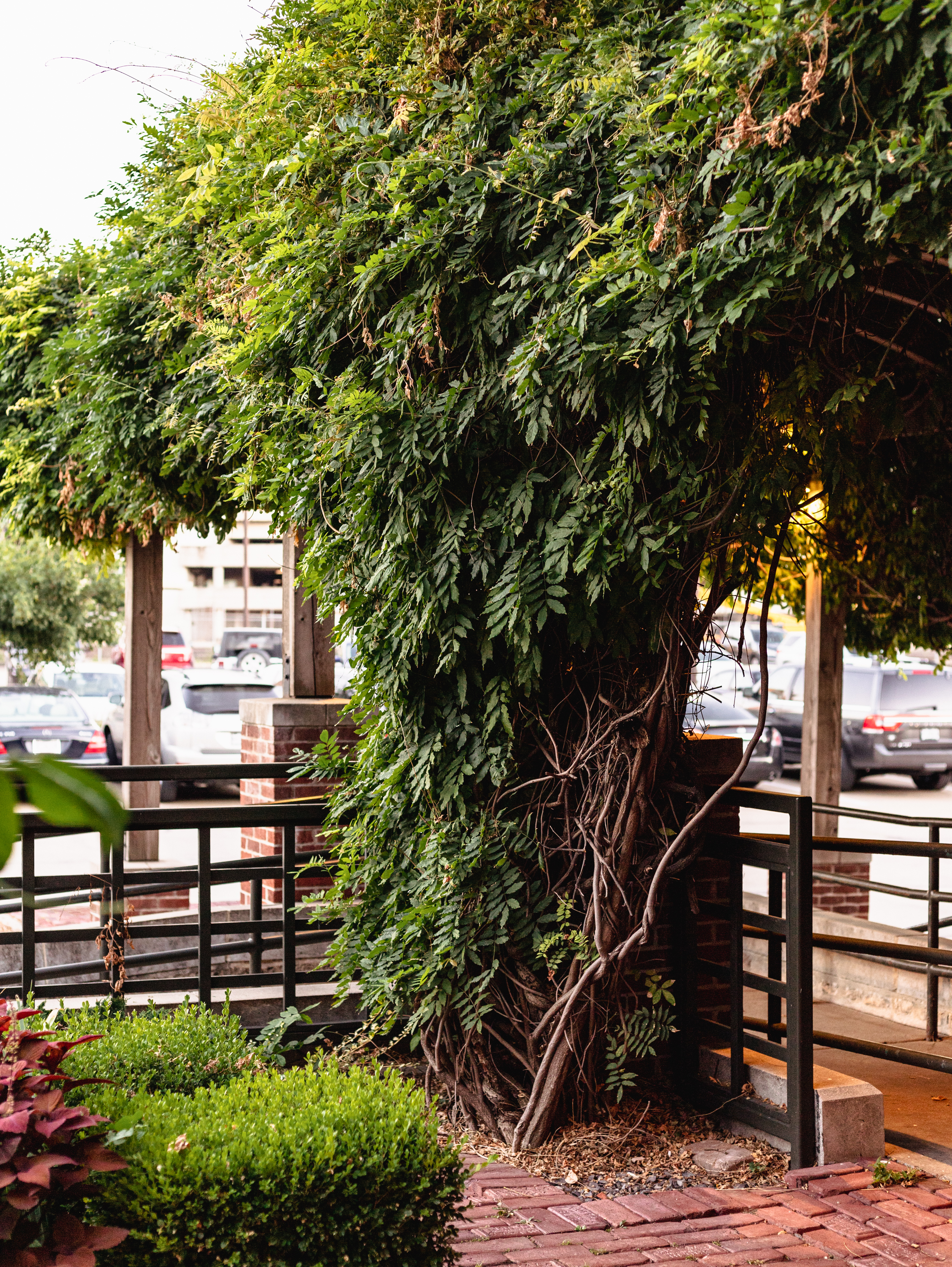 a bench next to a tree