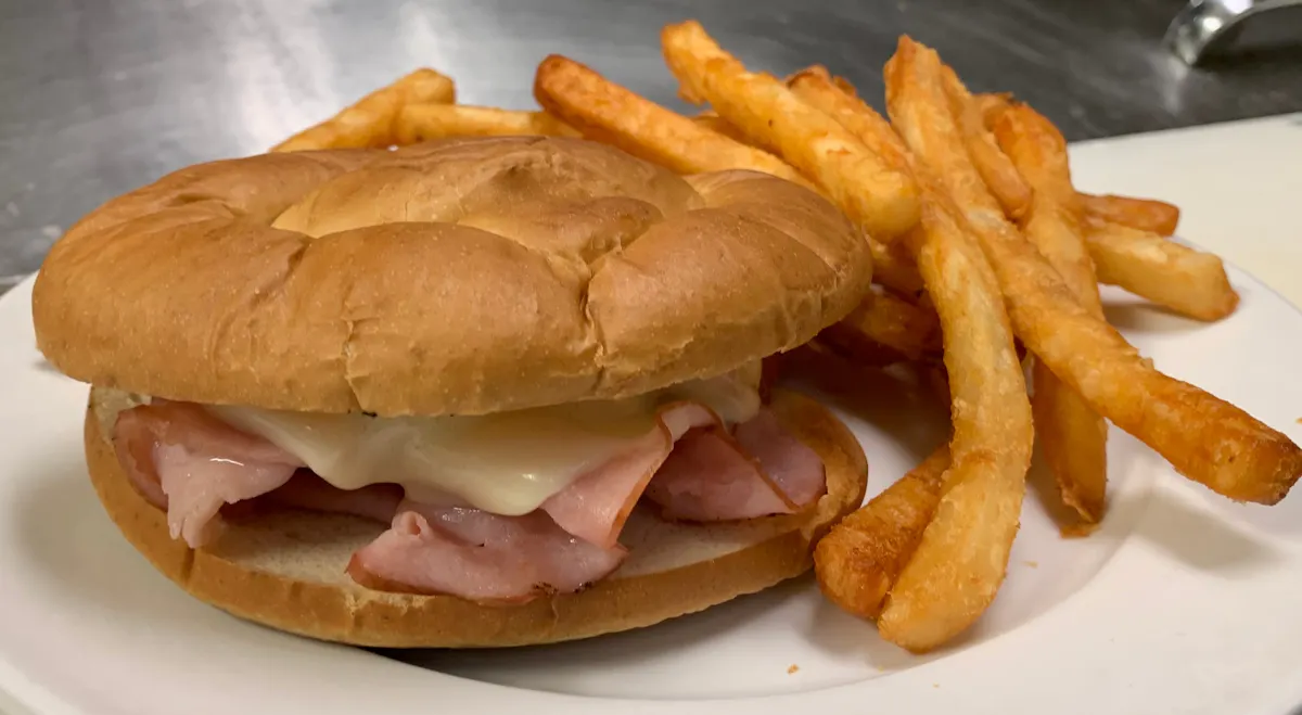 a close up of a sandwich and fries on a plate