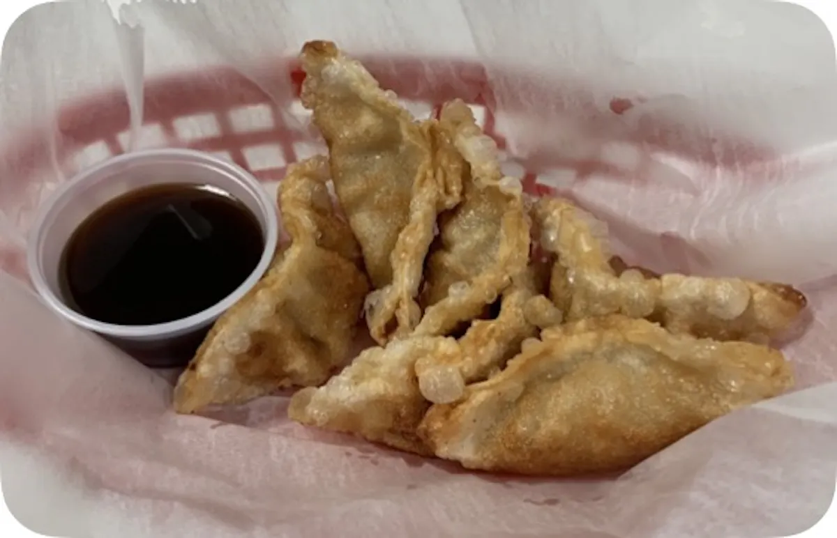 Chicken Teriyaki Potstickers