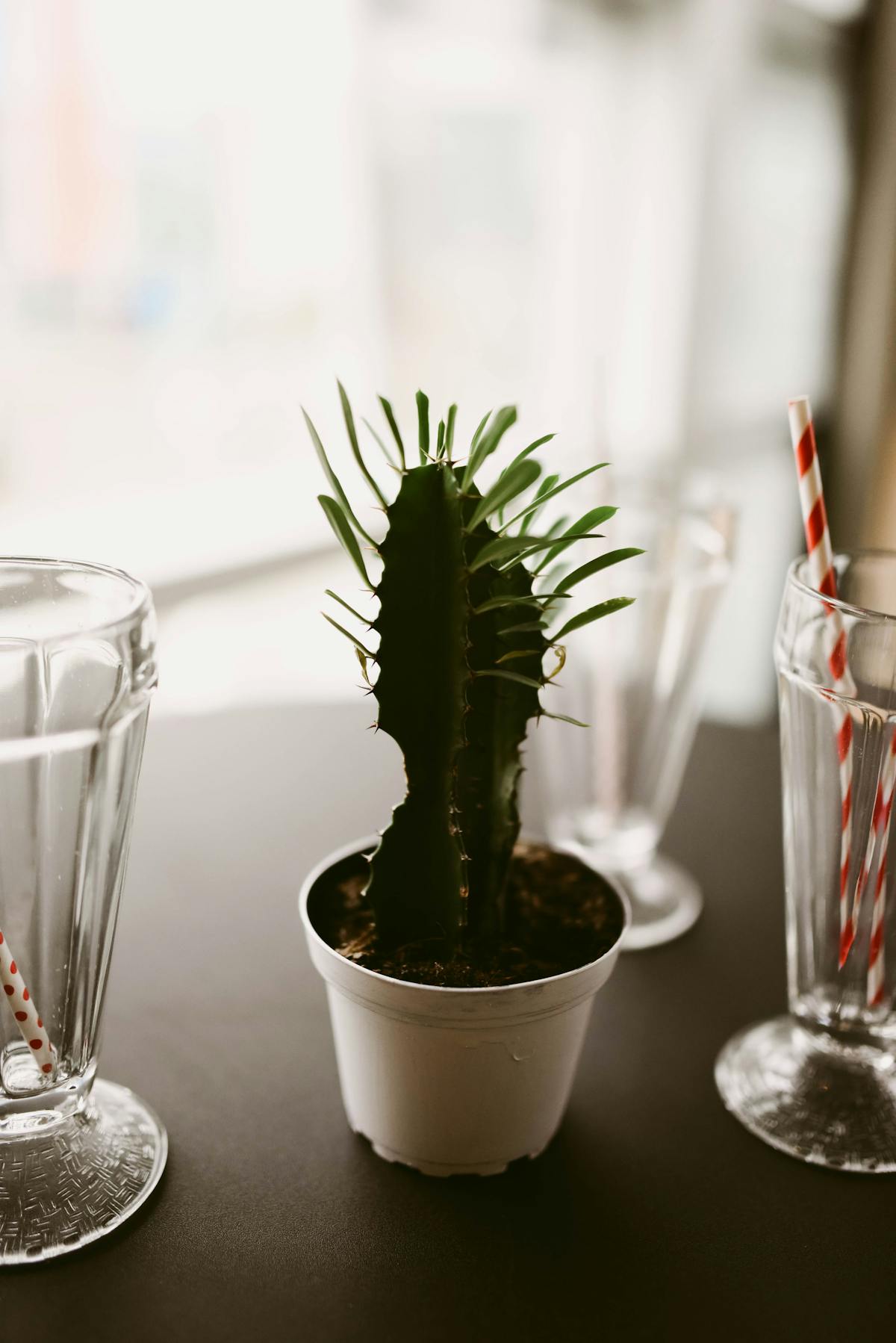 a close up of a glass vase on a table