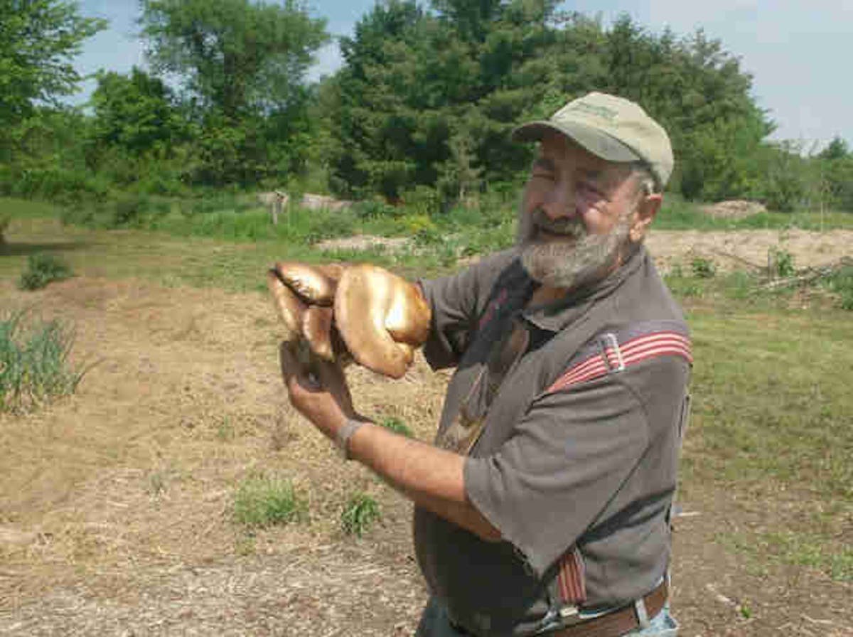 a man holding an animal
