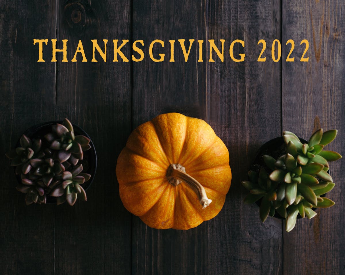 Thanksgiving 2022 French Meadow Bakery & Cafe twin cities minnesota
