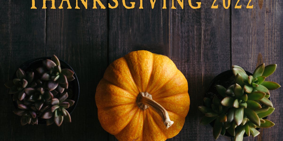 THANKSGIVING WITH FRENCH MEADOW French Meadow Bakery Caf In MN thanksgiving-with-french-meadow-french-meadow-bakery-caf-in-mn