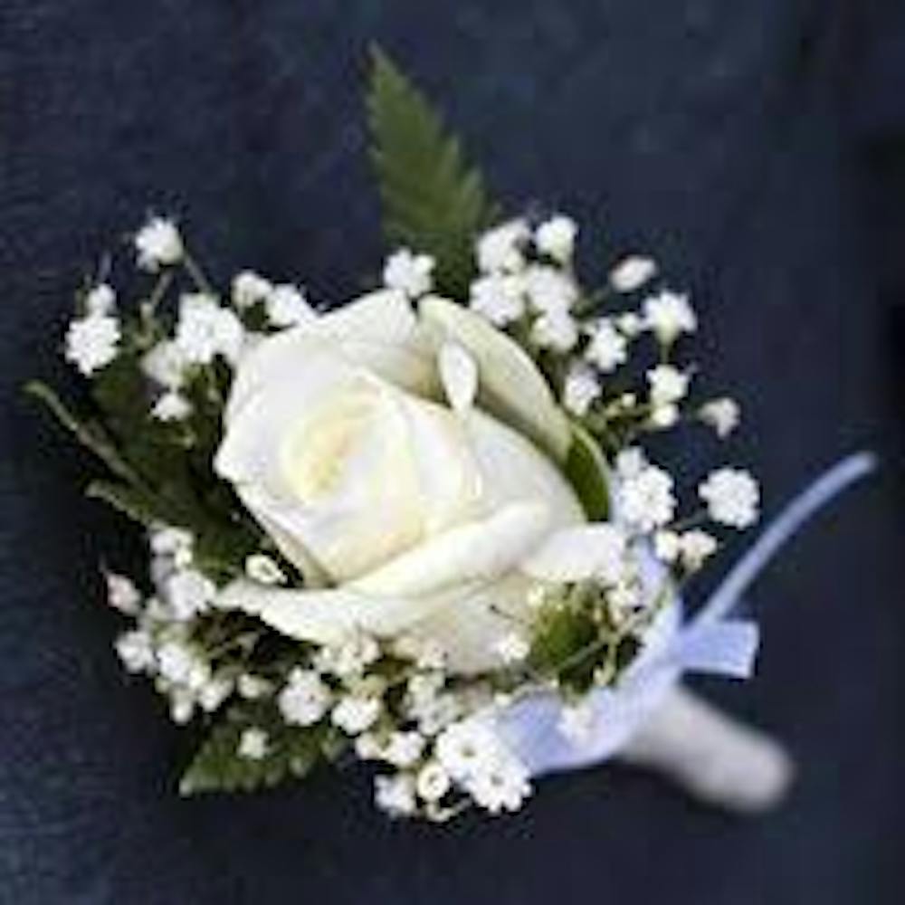 a close up of a flower