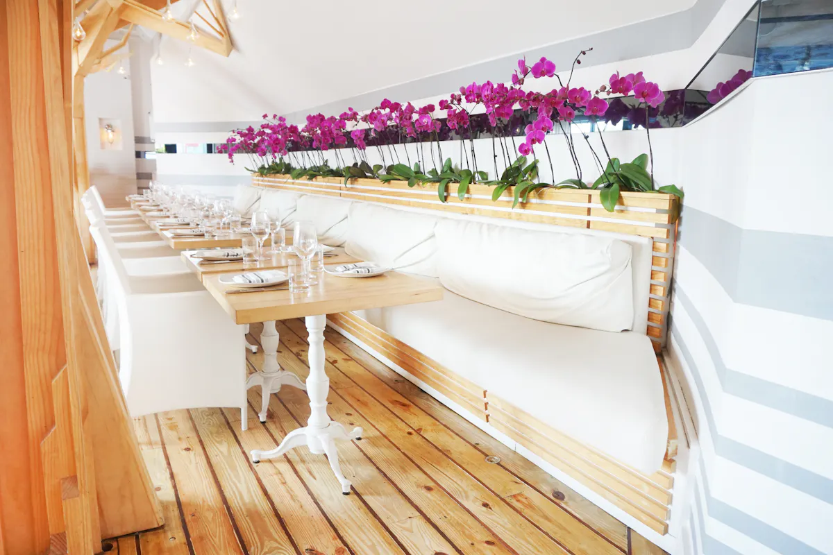 Seaspice's bright and airy Modern Garden dining area with a wall of beautiful orchids