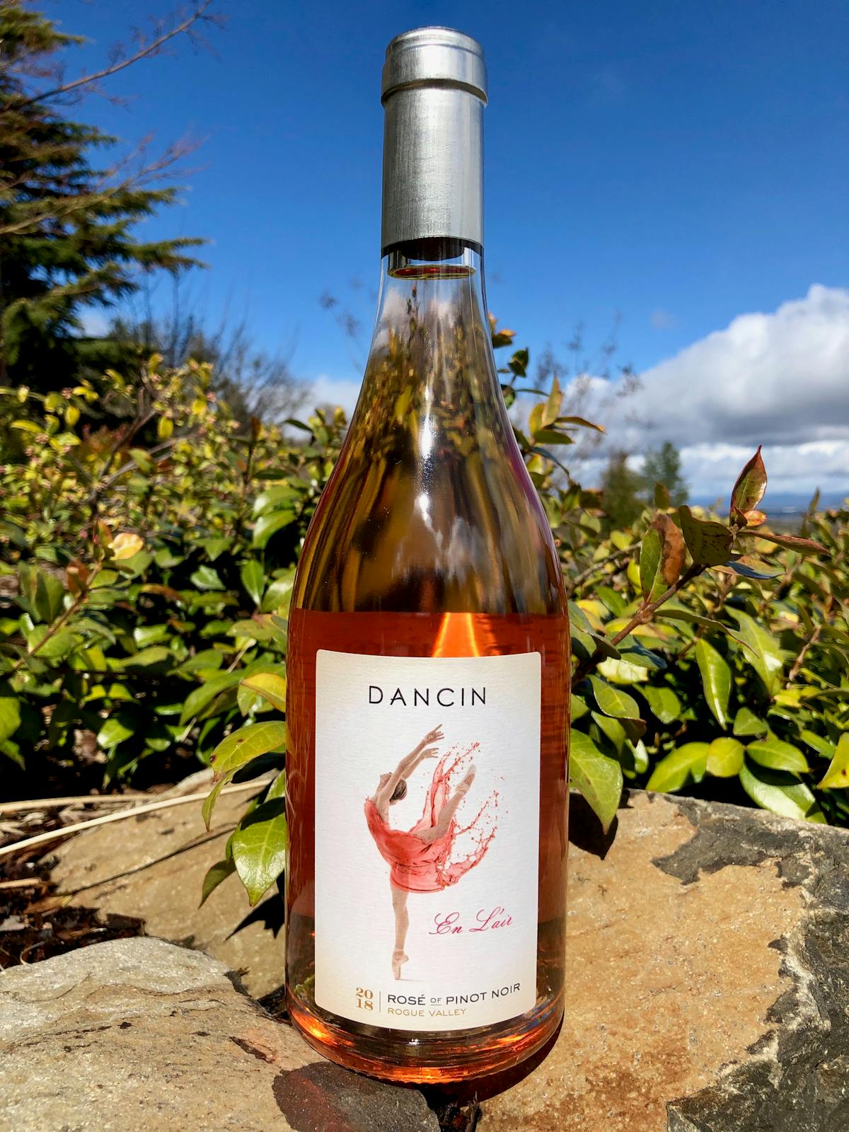 Pinot Noir Rose from Southern Oregon, DANCIN Vineyards