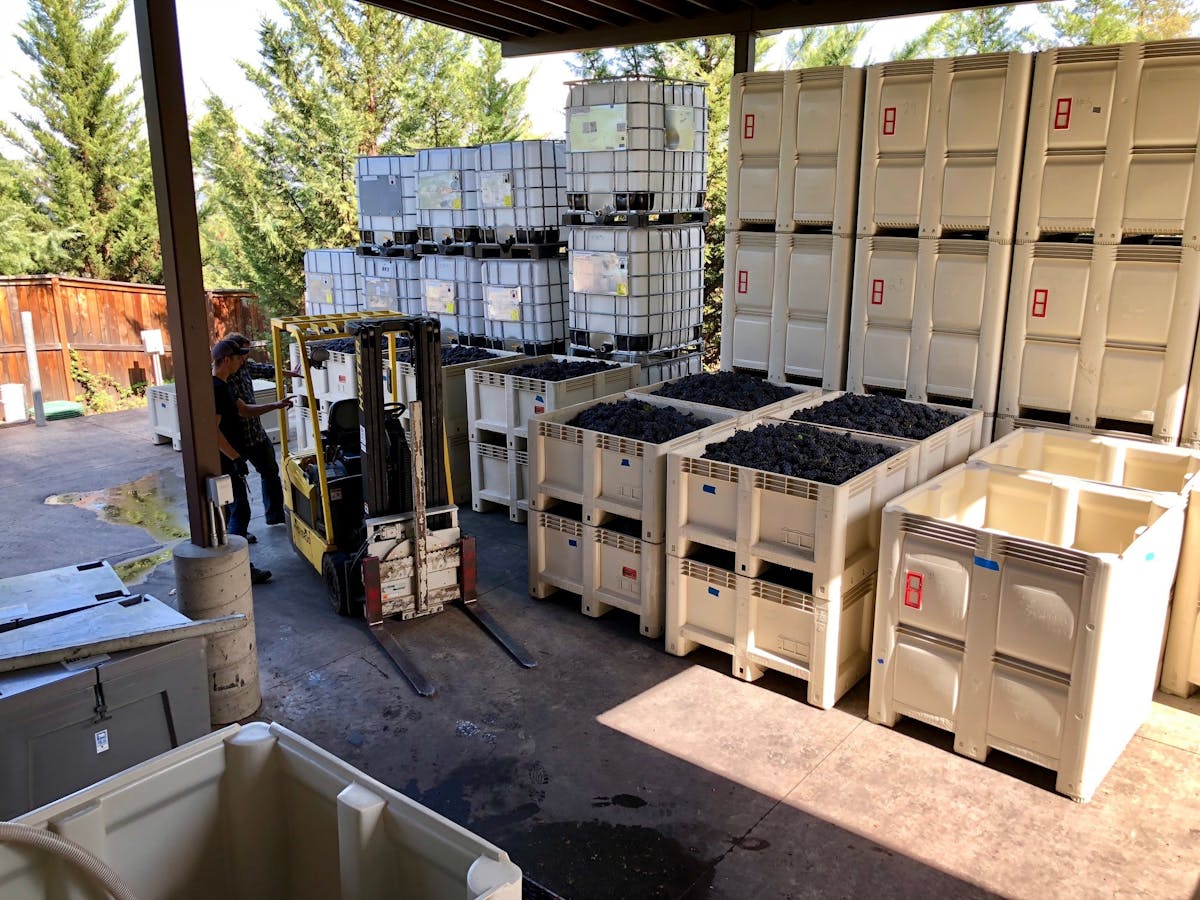 Winemaking process in Southern Oregon at DANCIN Vineyards