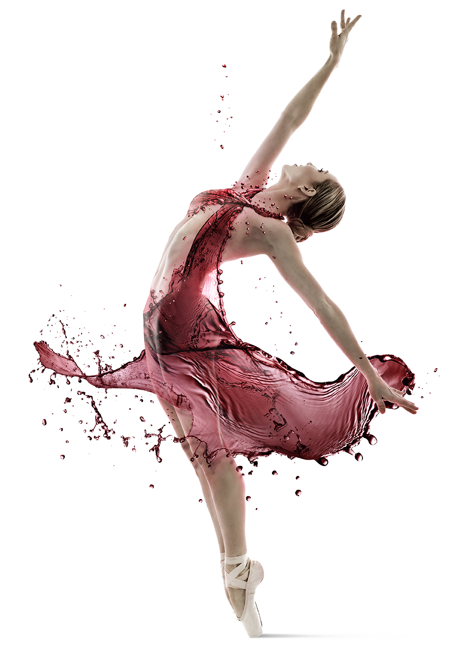 a close up of a flower