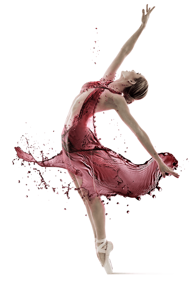 a close up of a flower