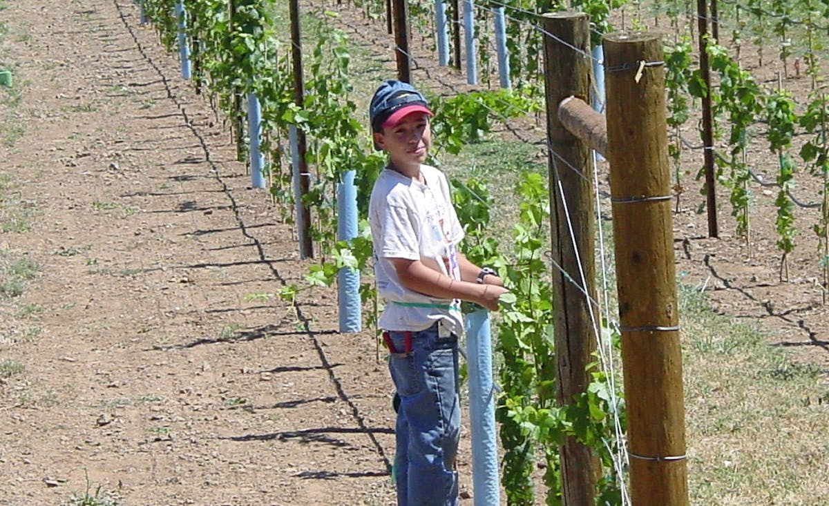 a photo of a kid
