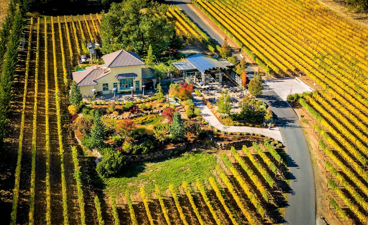 Top winery in Southern Oregon - DANCIN Vineyards