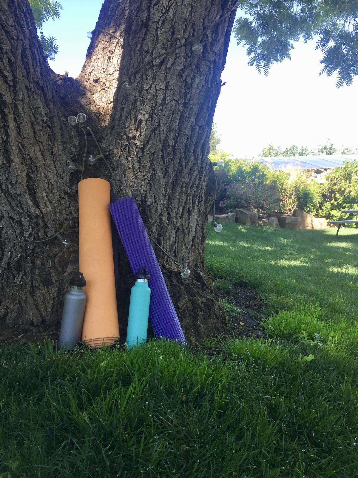 a person that is standing in the grass