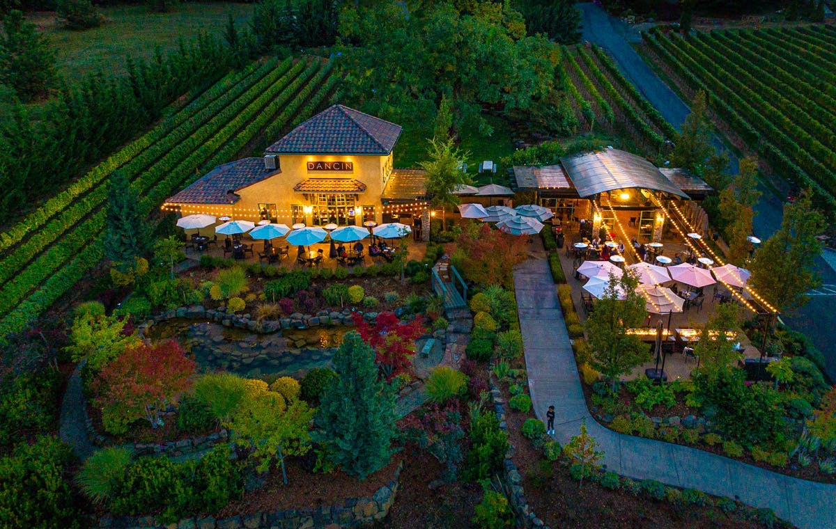 a vineyard