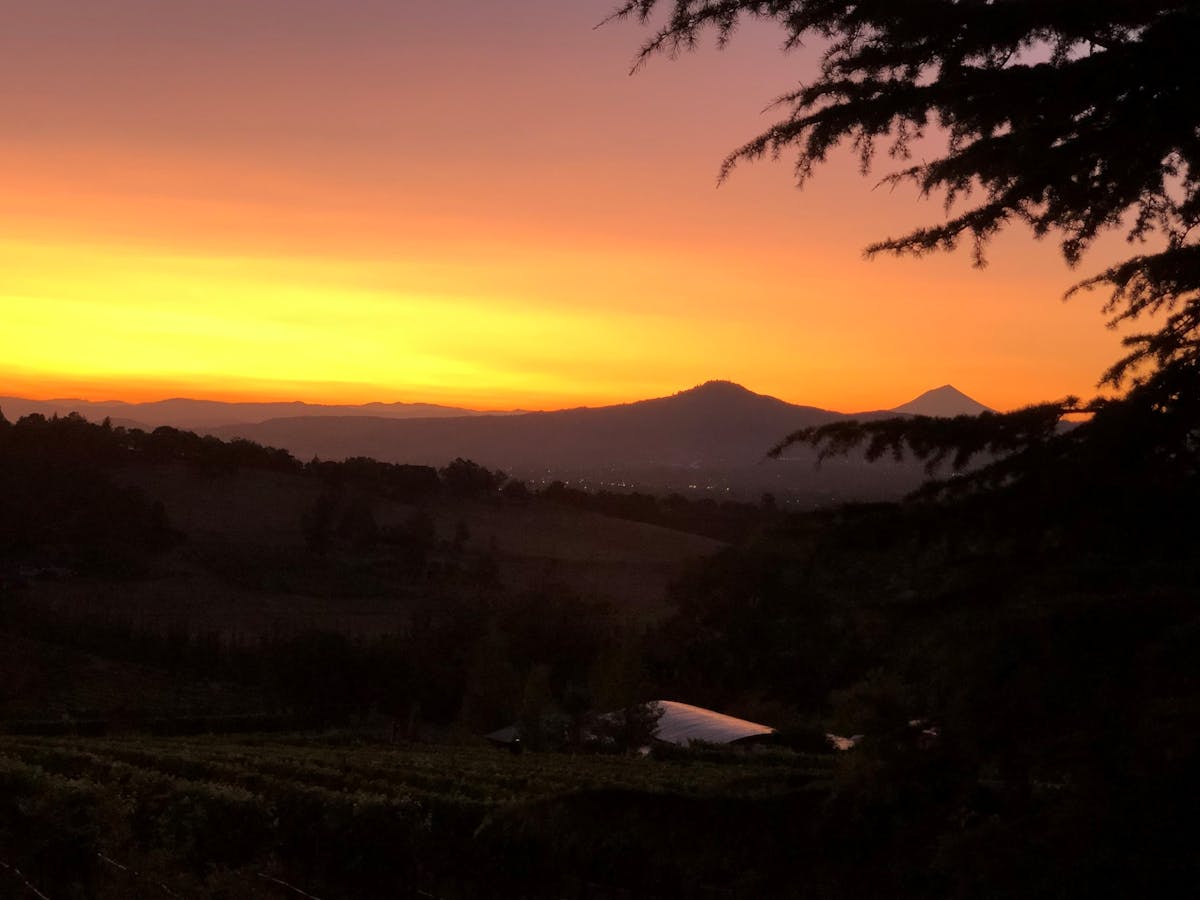 a person with a sunset in the background