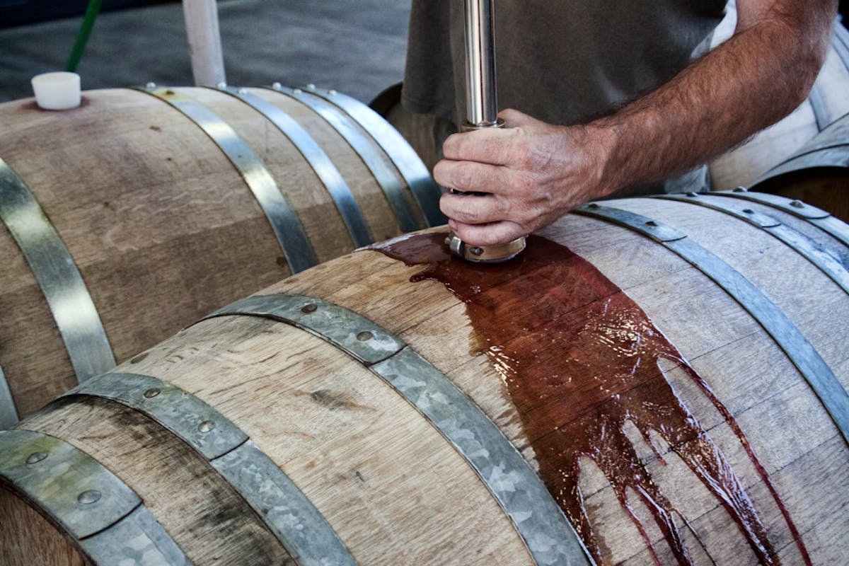 Winemaking process in Southern Oregon at DANCIN Vineyards