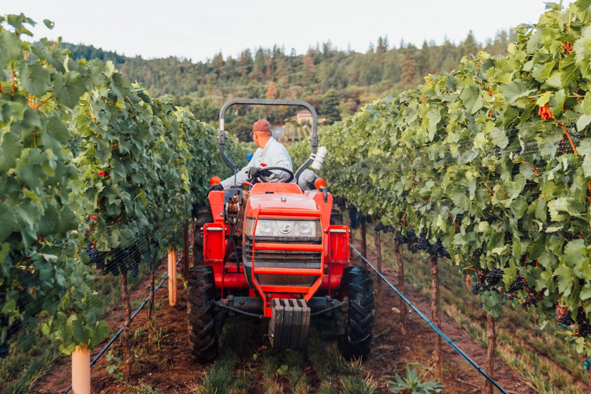 a man riding on the back of a truck driving down a dirt road