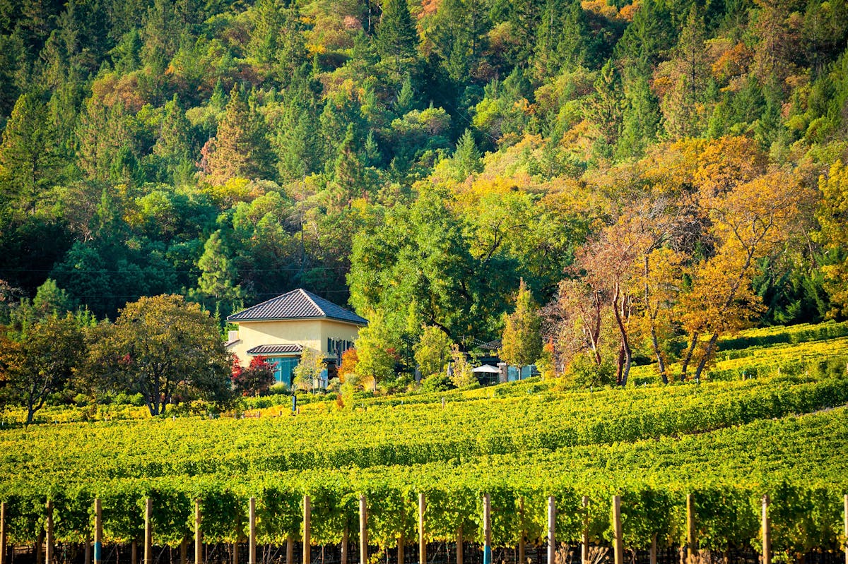 Top winery in the Rogue Valley