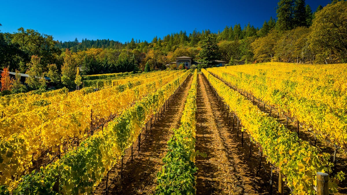 Rogue Valley wineries