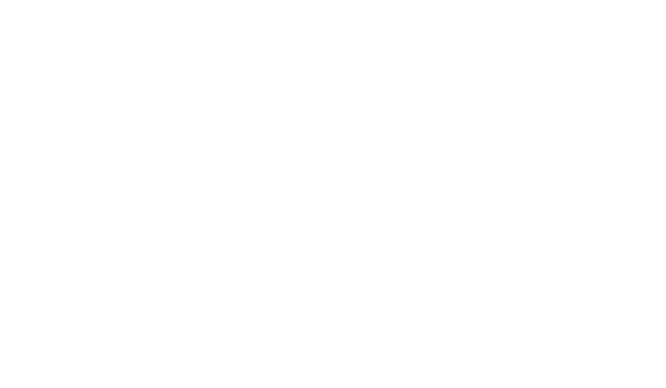Bronzeville Soul logo