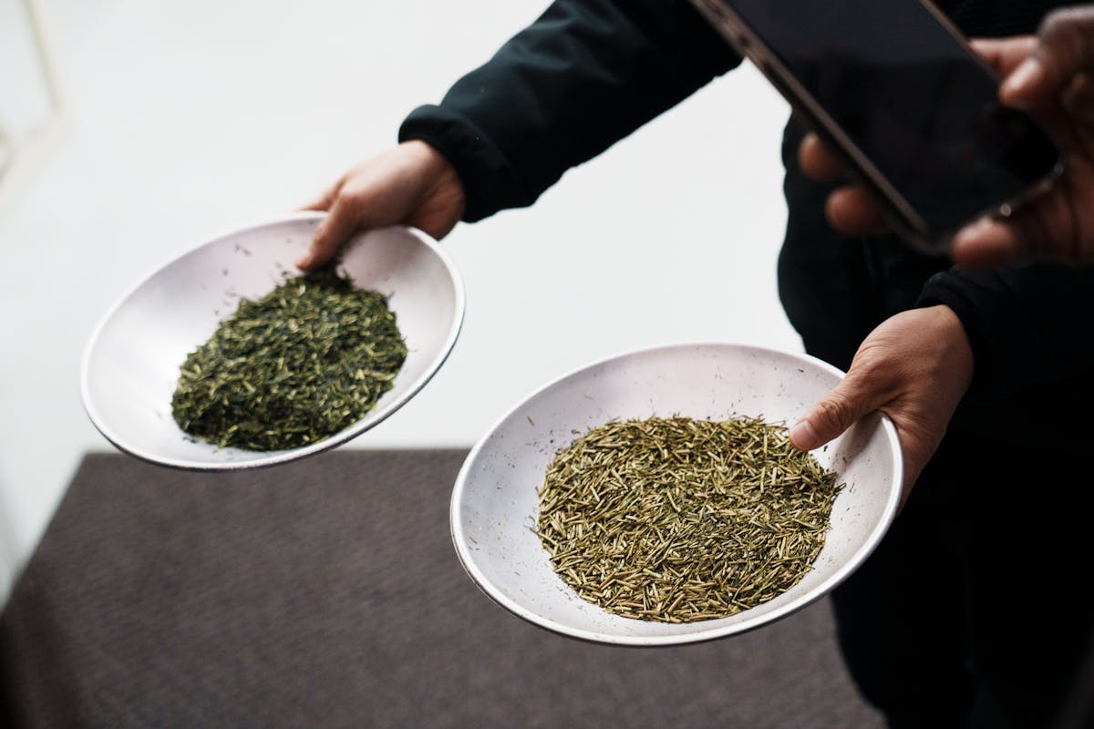 a person holding a bowl of food