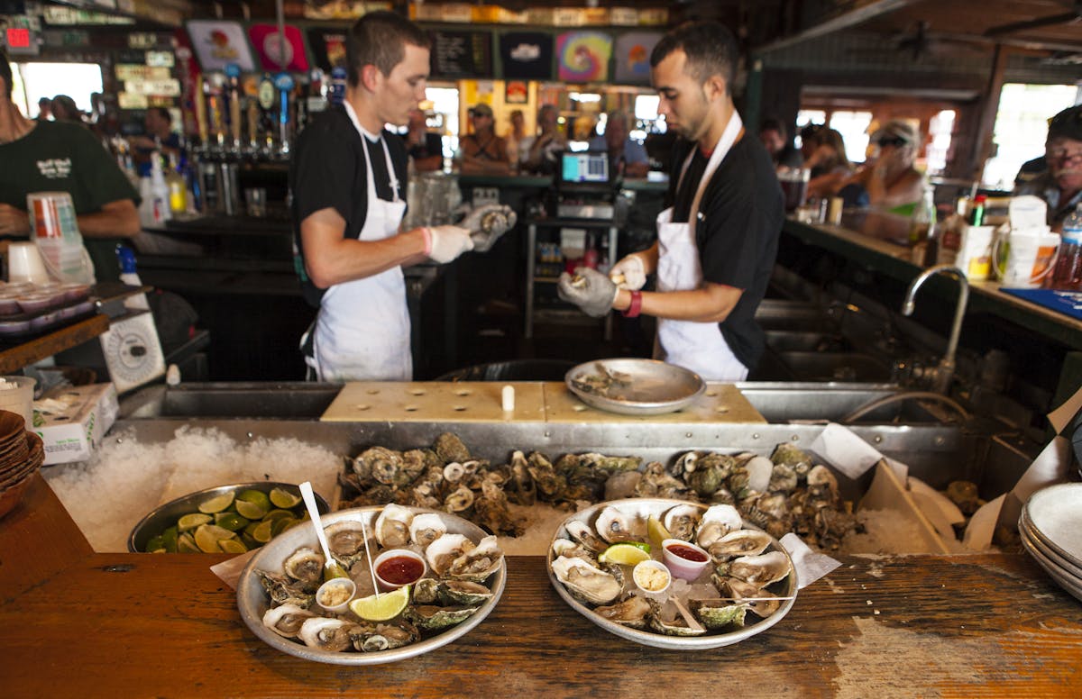 people shucking fresh oysters