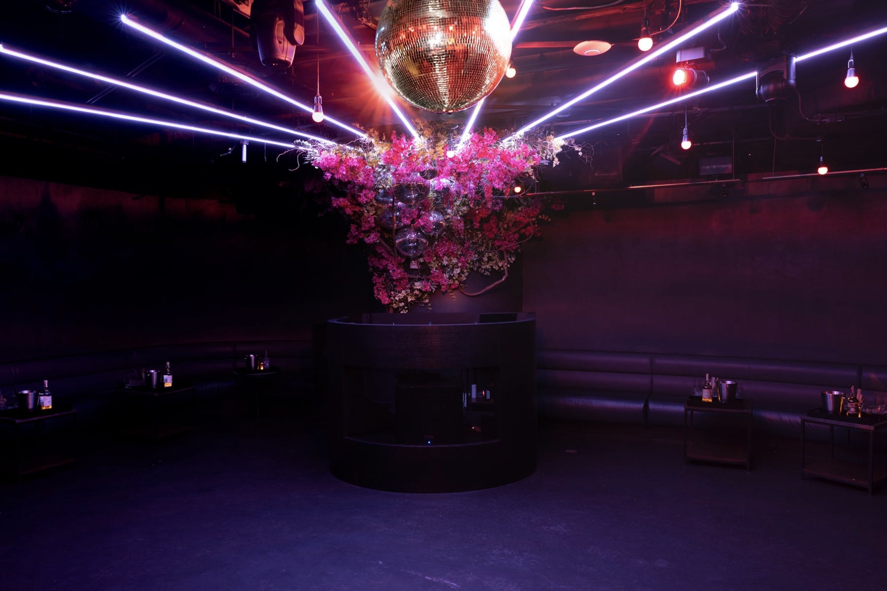 Daphne | Hours + Location | Gerber Group | Nightlife Venues in the US