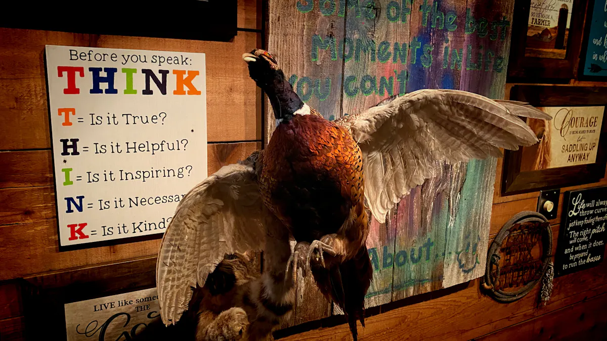 a stuffed animal on display