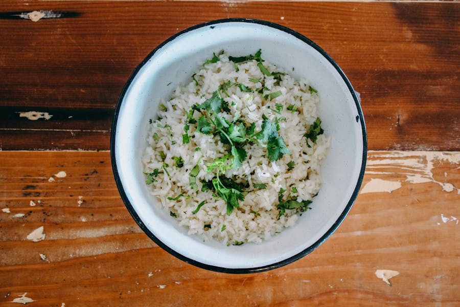 Cilantro White Rice Pocha LA Modern Mexicana Experience in Los