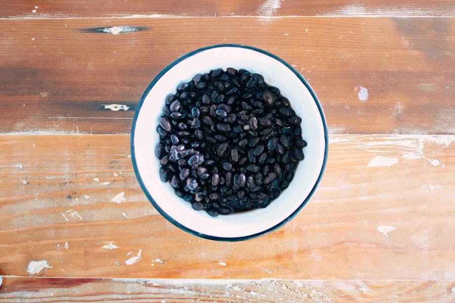 Black Beans Pocha LA Modern Mexicana Experience in Los Angeles, CA