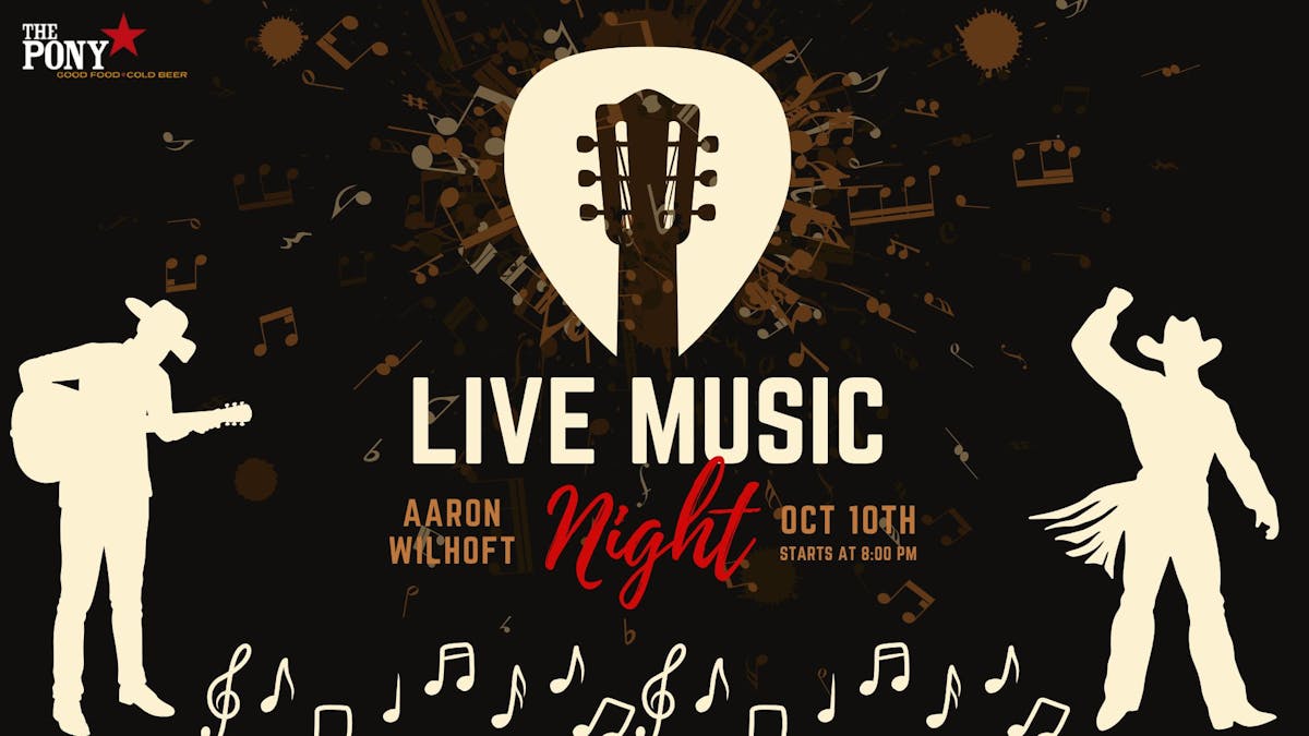 live music night at the pony inn chicago