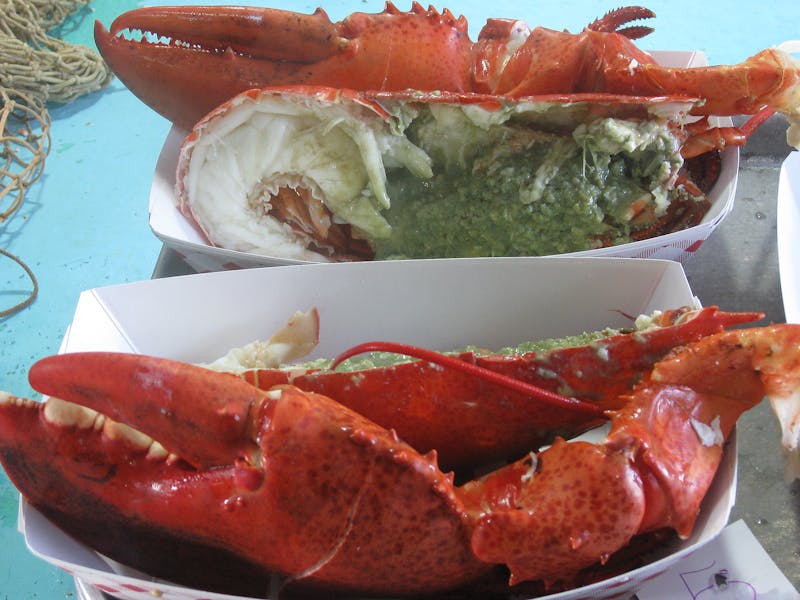 Menus Ogunquit Lobster Pound in Ogunquit, ME