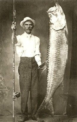 a person holding a fish posing for the camera