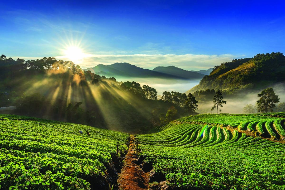a large green landscape with a body of water