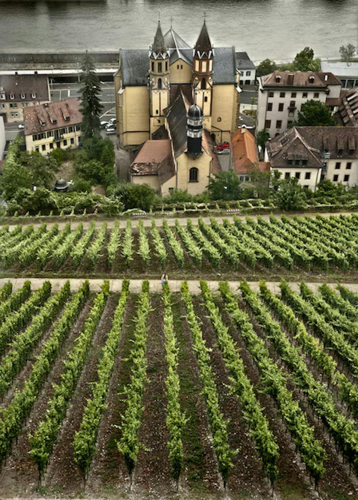a garden with water in the background