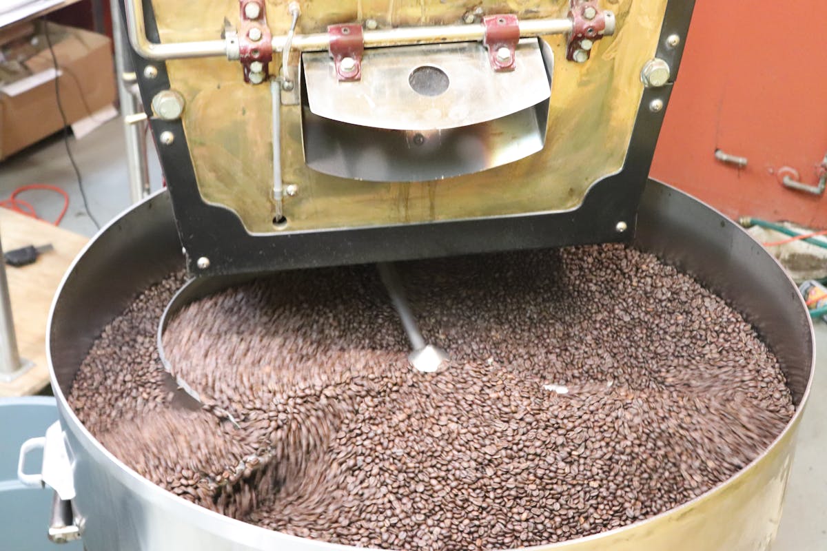 coffee seeds